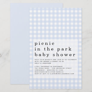 Budget Picnic Park Baby Shower Blue Gingham