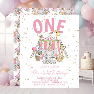 Budget Pink Carnival Circus Kid's 1st Birthday