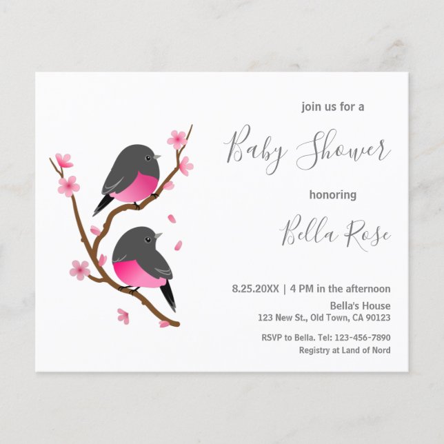 Budget Pink Robin Bird Baby Shower Invitation (Front)