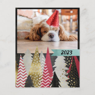 Budget Red Black Photo