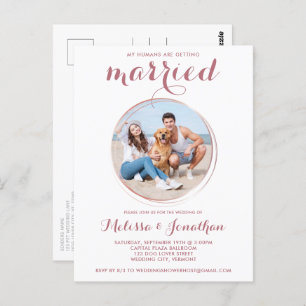 Budget Rose Gold Custom Pet Photo Dog Wedding Postcard