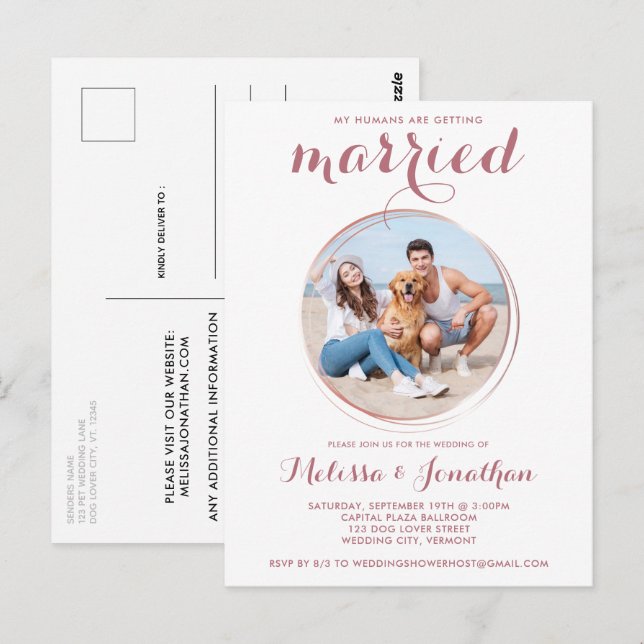 Budget Rose Gold Custom Pet Photo Dog Wedding  Postcard (Front/Back)