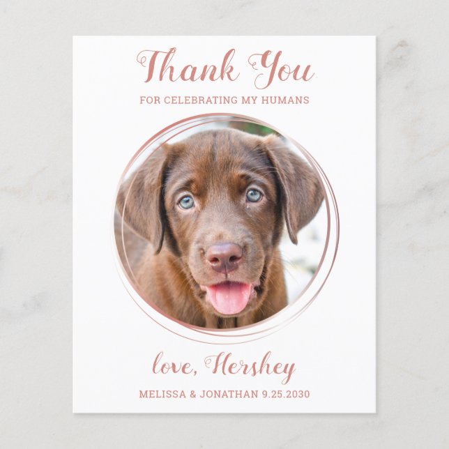 Budget Rose Gold Pet Photo Dog Wedding Thank You (Front)