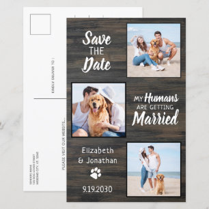 Budget Rustic 3 Photo Dog Wedding Save The Date