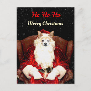 Budget Santa Chihuahua Dog Red Funny Cute Holiday Postcard