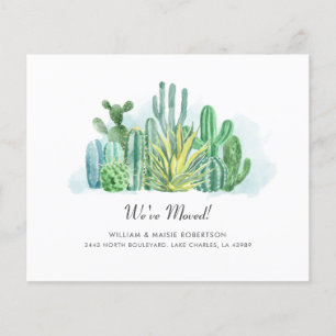 Budget Succulents Cacti We've Moved Moving