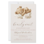 Budget Teddy Bear Neutral All in One Baby Shower