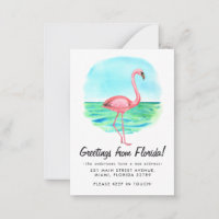 Budget Tropical Flamingo Moved New Address Moving