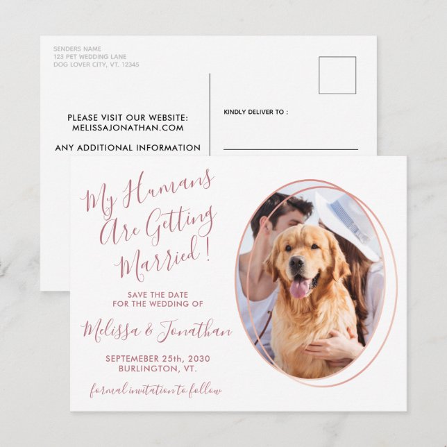 Budget Wedding Pet Photo Rose Gold Save The Date Postcard (Front/Back)