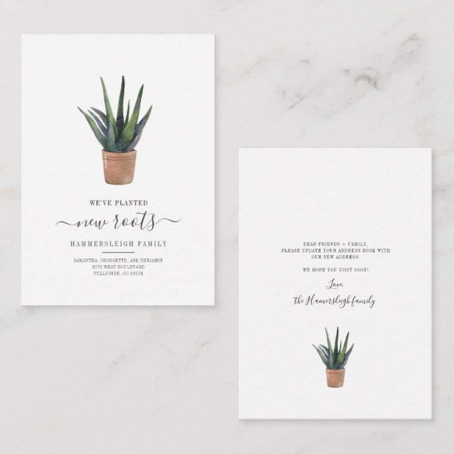Budget We've Moved New Roots Succulent Plant Card (Front/Back)