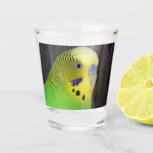 Budgie 003 shot glass