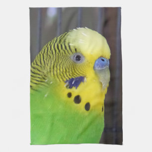 Budgie 003 tea towel