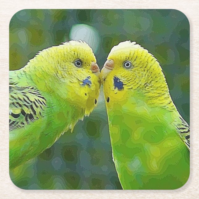 Budgie_2015_0604 Square Paper Coaster (Front)