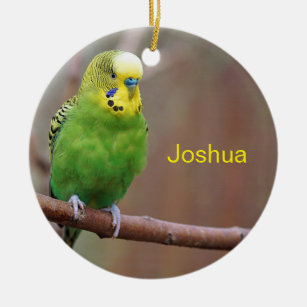 budgie christmas ornament