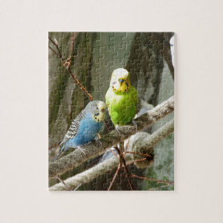 Budgie Bird Jigsaw Puzzle