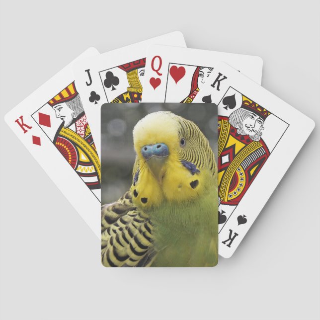 Budgie Bird Playing Cards (Back)