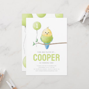 Budgie Birthday Kid's Birthday Invitation