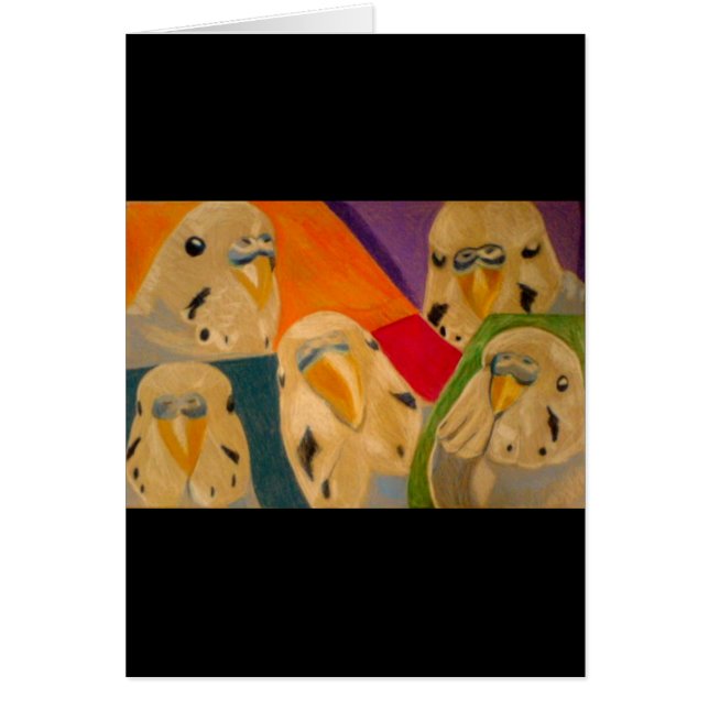 Budgie Budgerigar (Front)