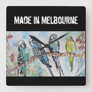 Budgie Budgerigar Bird Made In Melbourne Birds Square Wall Clock