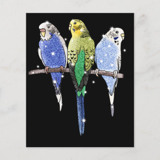 Budgie Budgerigar Glitter Flyer