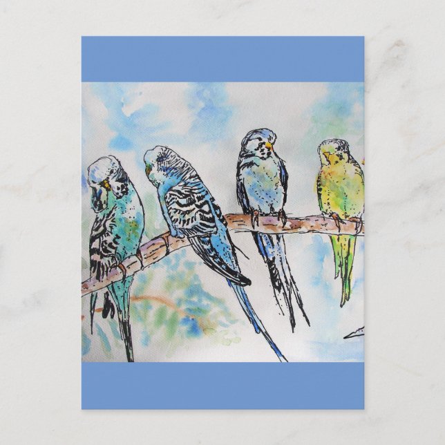 Budgie Budgies Watercolor Painting Bird Card (Front)