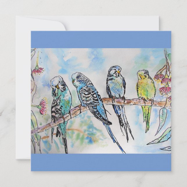 Budgie Budgies Watercolor Painting Bird Card (Front)