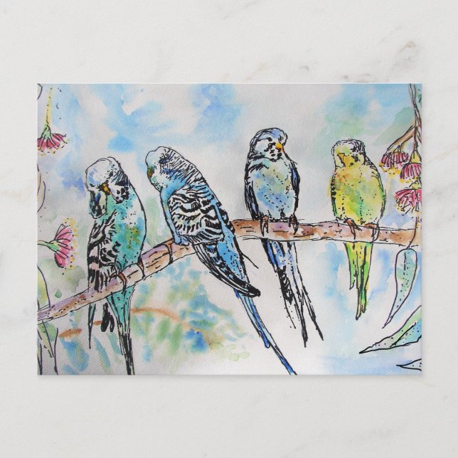 Budgie Budgies Watercolor Painting Bird Card (Front)
