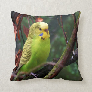 Budgie Cushion