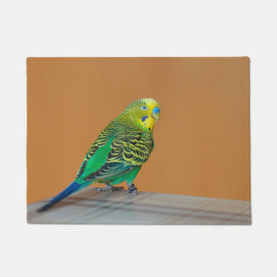 Budgie Doormat