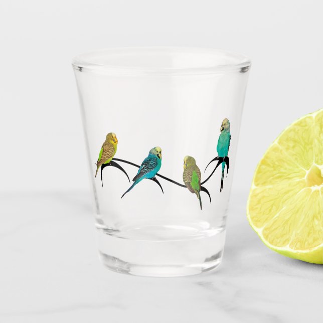 Budgie Frenzy Gift Glass (Front)