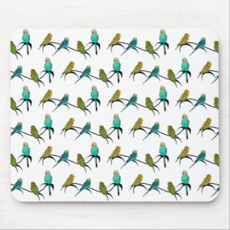 Budgie Frenzy Mousemat