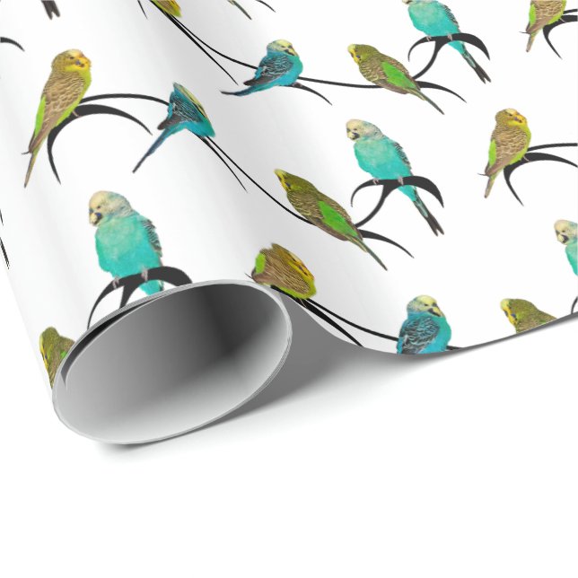 Budgie Frenzy Wrapping Paper (choose colour) (Roll Corner)