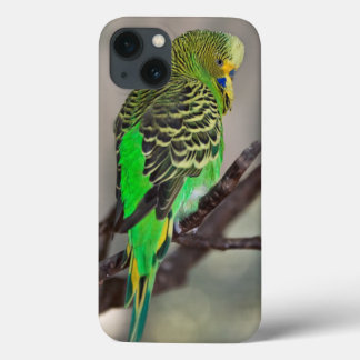 Budgie iPad Case