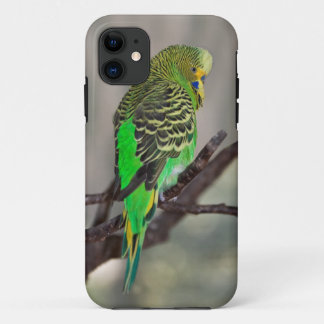 Budgie iPhone 5 Case