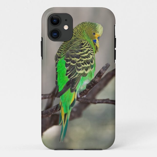 Budgie iPhone 5 Case (Back)