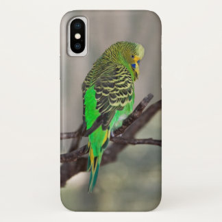 Budgie iPhone X Case