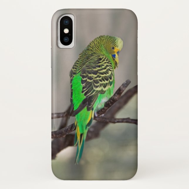Budgie iPhone X Case (Back)