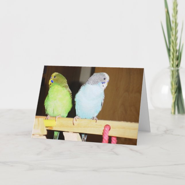 Budgie Large Note Card (Front)