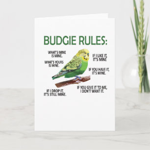 Budgie Owner Budgie Lover Parakeet Bird Budgerigar Card