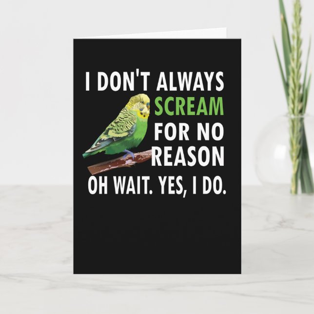 Budgie Owner Budgie Lover Parakeet Bird Budgerigar Card (Front)