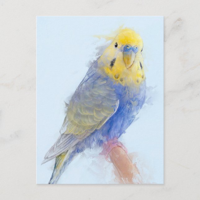 Budgie Portrait No.10 Postcard (Front)