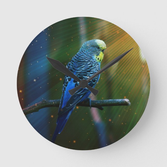 Budgie Round Clock (Front)