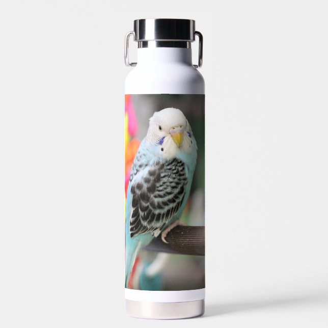 Budgie Water Bottle (Front)