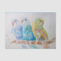 Budgie Watercolour Painting Bird birds Whimsical