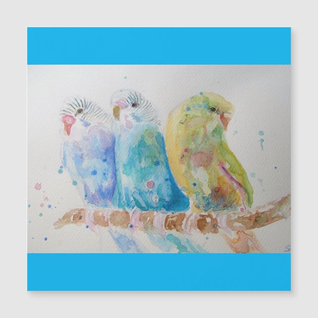 Budgie Watercolour Painting bird Budgies Aqua Teal (Front)