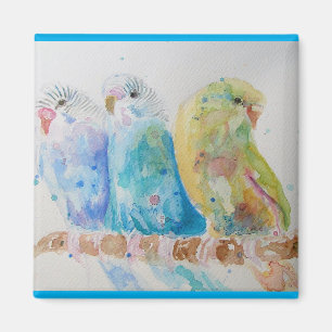 Budgie Watercolour Painting bird Budgies Aqua Teal Magnet