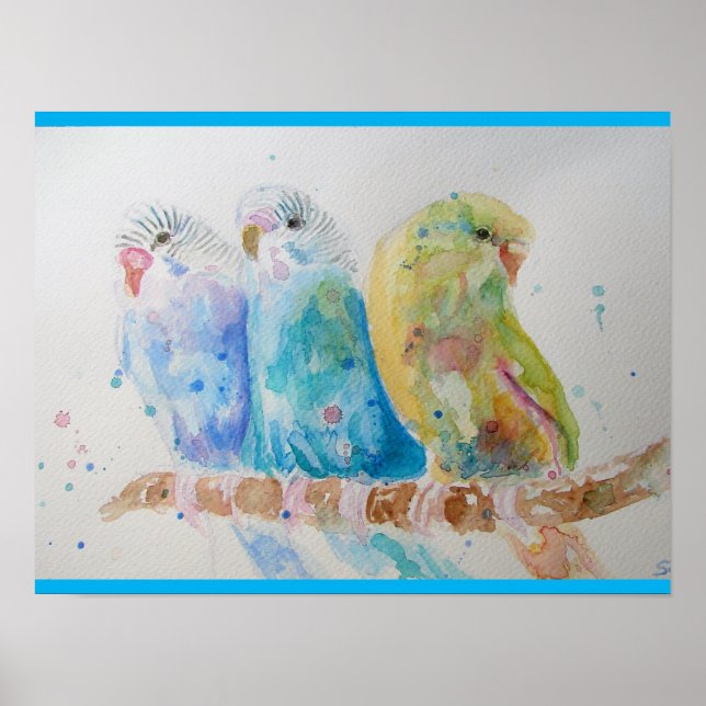 Budgie Watercolour Painting bird Budgies Aqua Teal Poster (Front)