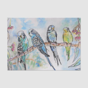 Budgie Watercolour Painting bird Budgies Aqua Teal Tissue Paper