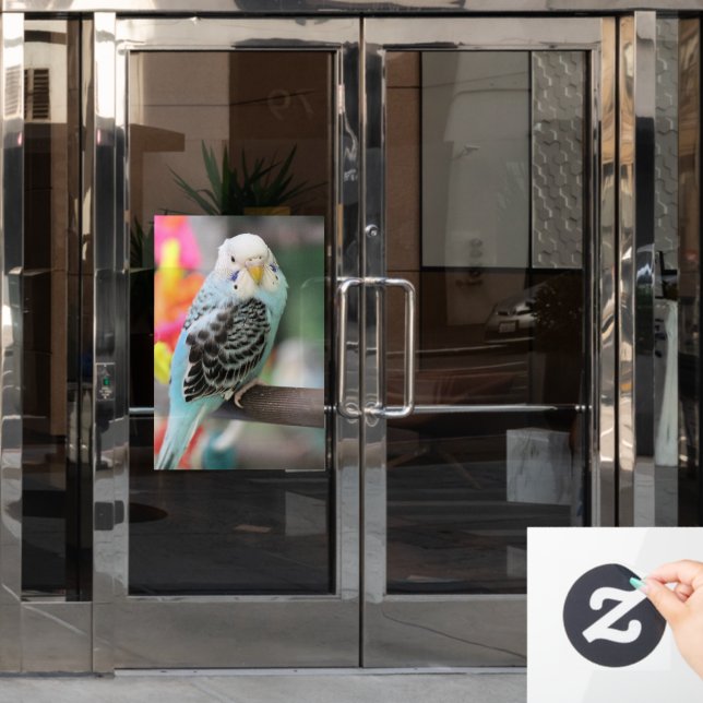 Budgie  window cling (Office Door)