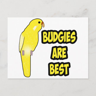 Budgies Are Best Postcard